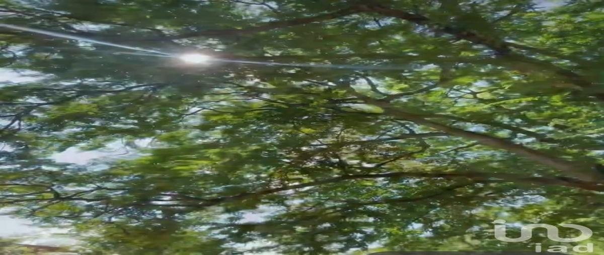 Foto de terreno habitacional en venta en esquinero 61, cholul, mérida, yucatán, 30959130 No. 05