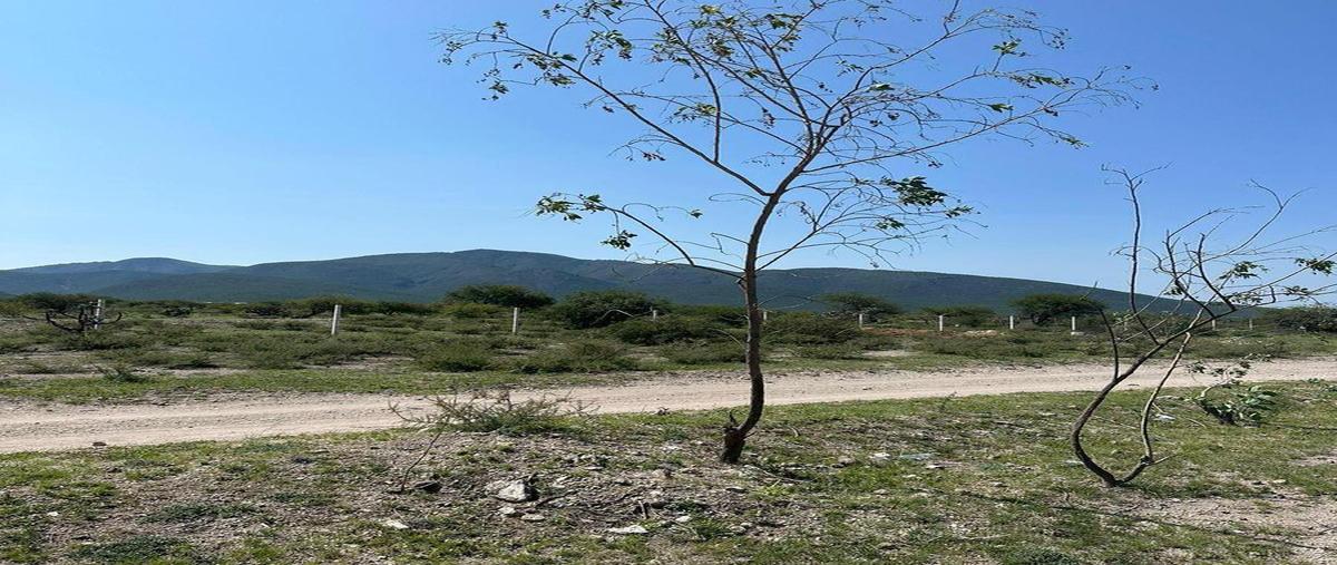 Foto de terreno habitacional en venta en  , estación bernal, tequisquiapan, querétaro, 0 No. 05