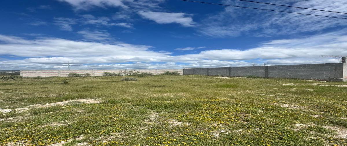 Foto de terreno habitacional en venta en  , estación bernal, tequisquiapan, querétaro, 30343183 No. 03