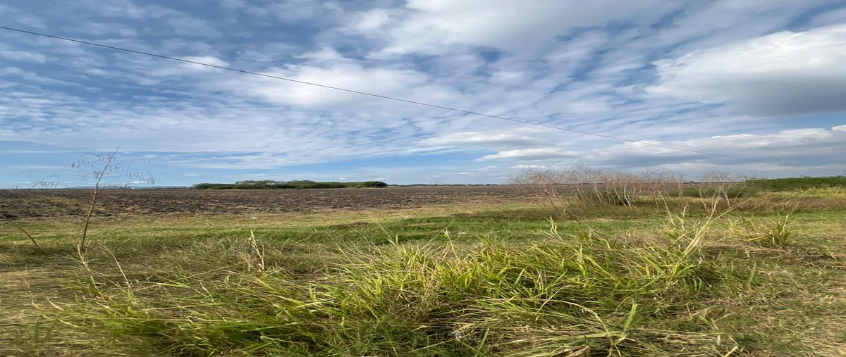 Foto de terreno comercial en venta en estacion colonias , la colonia (estación colonias), altamira, tamaulipas, 29068421 No. 03