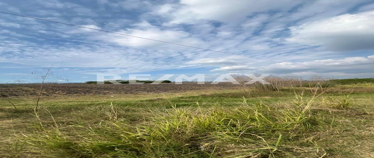 Foto de terreno comercial en venta en estacion colonias , la colonia (estación colonias), altamira, tamaulipas, 0 No. 03