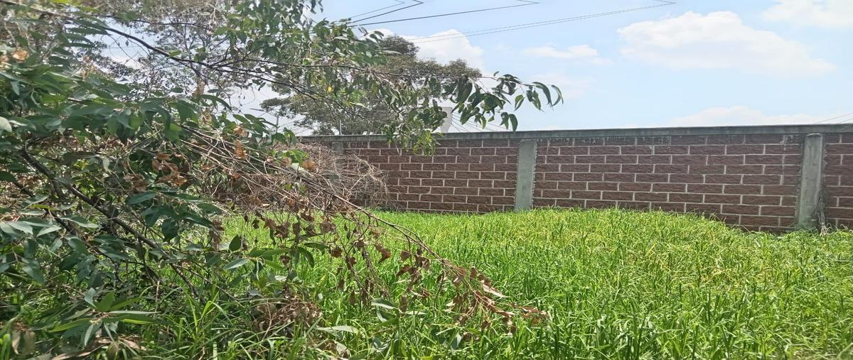 Foto de terreno habitacional en venta en  , estación nueva, puebla, puebla, 0 No. 04