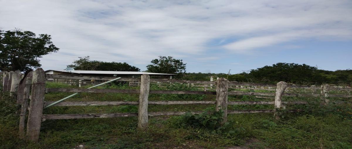 Foto de rancho en venta en  , estación palacho, tampico alto, veracruz de ignacio de la llave, 0 No. 03
