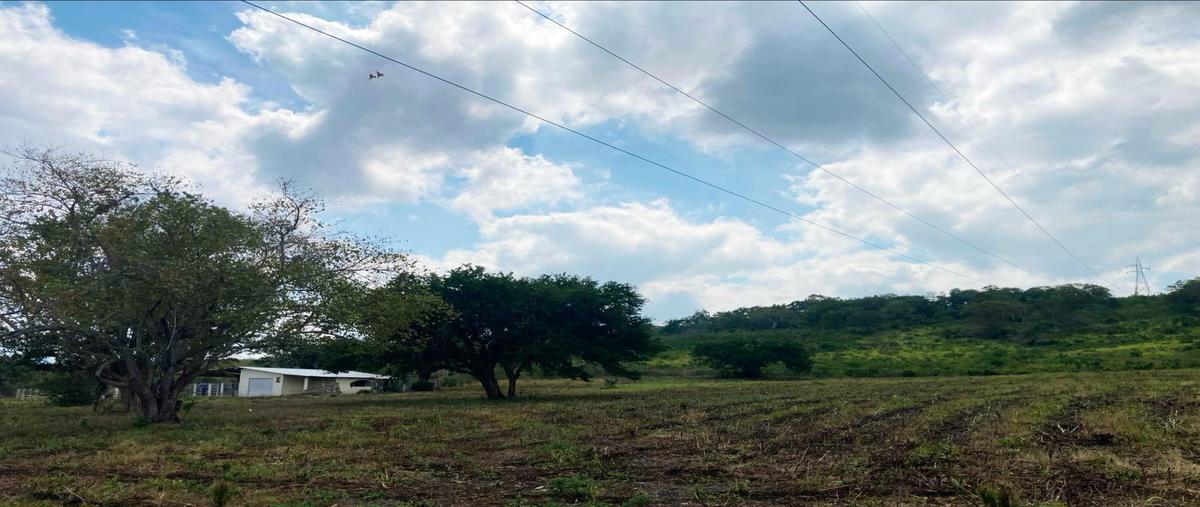 Foto de rancho en venta en  , estación palacho, tampico alto, veracruz de ignacio de la llave, 0 No. 05