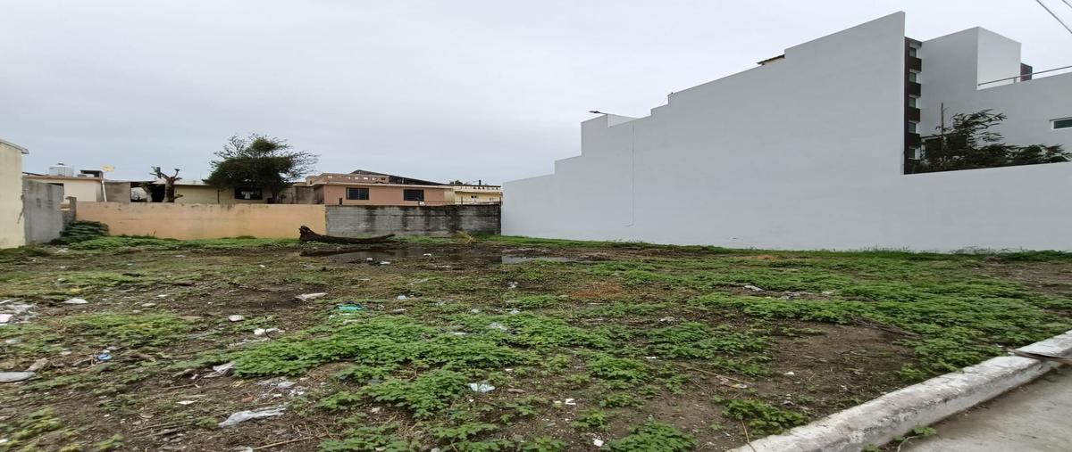 Foto de terreno habitacional en , estadio, ciudad madero, tamaulipas, 30634946 foto 02 Foto de terreno habitacional en venta en , estadio, ciudad madero, tamaulipas, 30634946 No. 02