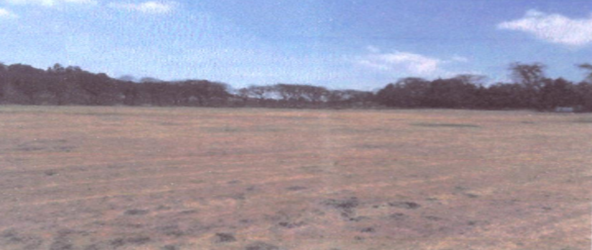 Foto de terreno industrial en estado de mexico carretera mexicaltzingosan mateo atenco kilometro 2.5 , san isidro, mexicaltzingo, méxico, 0 foto 01 Foto de terreno industrial en venta en estado de mexico carretera mexicaltzingosan mateo atenco kilometro 2.5 , san isidro, mexicaltzingo, méxico, 0 No. 01