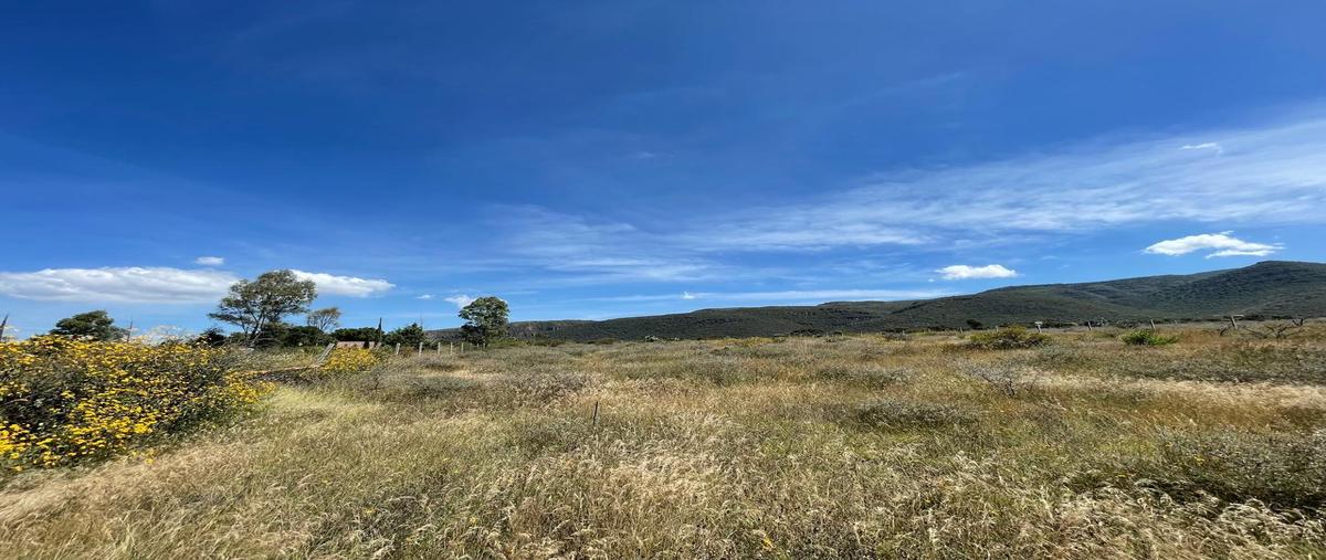 Foto de terreno habitacional en venta en  , estancia de canal, san miguel de allende, guanajuato, 30575839 No. 05