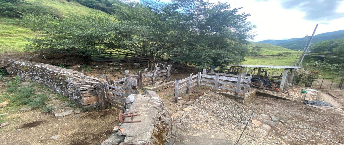 Foto de terreno habitacional en venta en  , estancia de landeros, san sebastián del oeste, jalisco, 0 No. 05