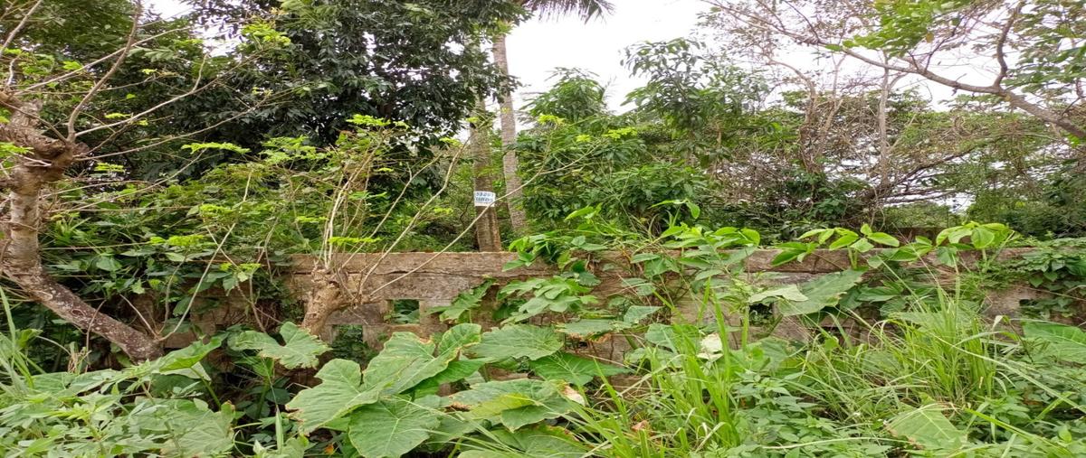 Foto de terreno habitacional en , estero del pantano, cosoleacaque, veracruz de ignacio de la llave, 24217734 foto 03 Foto de terreno habitacional en venta en , estero del pantano, cosoleacaque, veracruz de ignacio de la llave, 24217734 No. 03