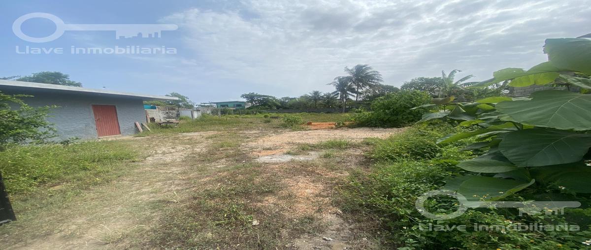 Foto de terreno habitacional en renta en  , estero del pantano, cosoleacaque, veracruz de ignacio de la llave, 25511937 No. 03