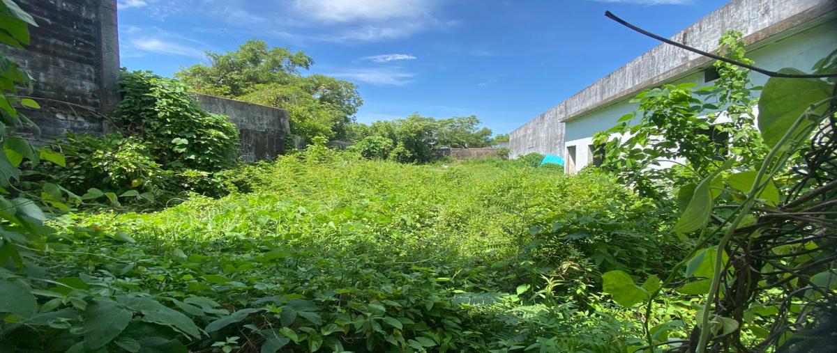 Foto de terreno habitacional en venta en  , estero del pantano, cosoleacaque, veracruz de ignacio de la llave, 29989401 No. 05