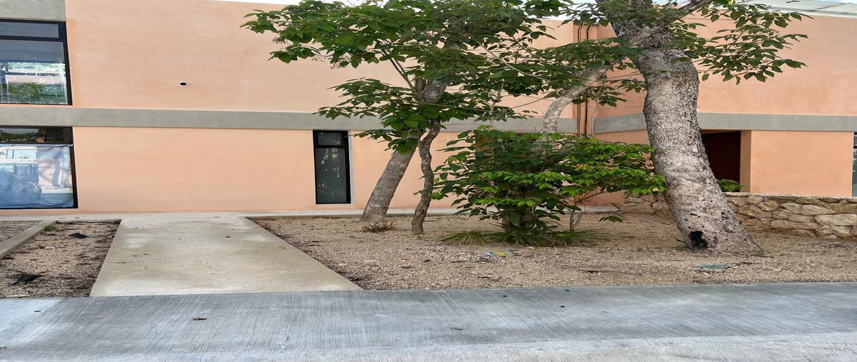 Foto de casa en renta en estetal libre tulum , coba, tulum, quintana roo, 28730840 No. 04