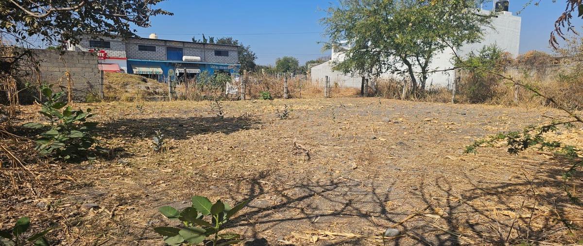 Foto de terreno habitacional en , eterna primavera, temixco, morelos, 0 foto 01 Foto de terreno habitacional en venta en , eterna primavera, temixco, morelos, 0 No. 01