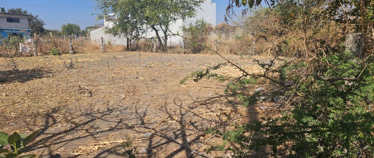 Foto de terreno habitacional en , eterna primavera, temixco, morelos, 0 foto 02 Foto de terreno habitacional en venta en , eterna primavera, temixco, morelos, 0 No. 02
