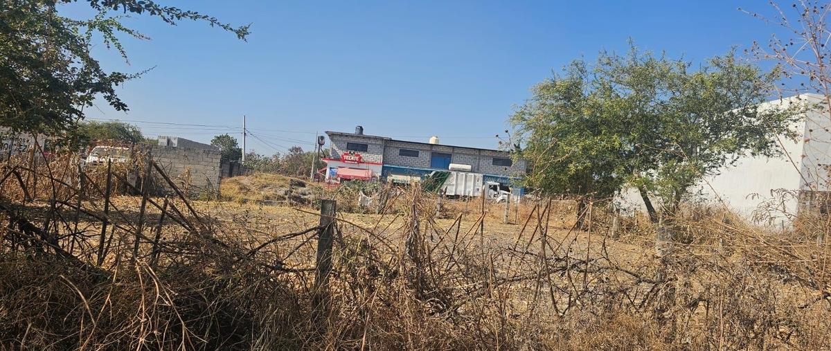 Foto de terreno habitacional en , eterna primavera, temixco, morelos, 0 foto 03 Foto de terreno habitacional en venta en , eterna primavera, temixco, morelos, 0 No. 03