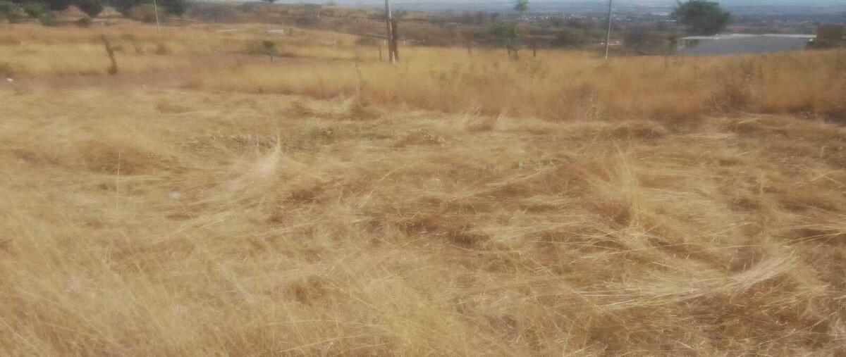 Foto de terreno habitacional en venta en eucalipos manzana vii , tlayacapan centro, tlayacapan, morelos, 29922820 No. 03