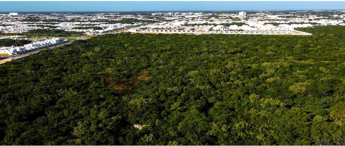 Foto de terreno habitacional en eucalipto 15, supermanzana 313, benito juárez, quintana roo, 27640795 foto 02 Foto de terreno habitacional en venta en eucalipto 15, supermanzana 313, benito juárez, quintana roo, 27640795 No. 02