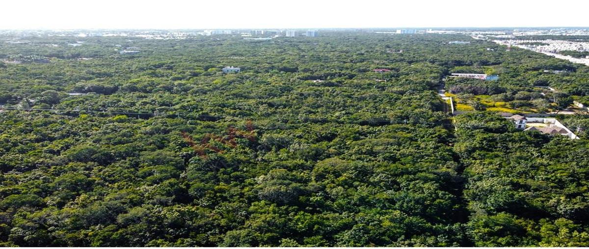 Foto de terreno habitacional en eucalipto 15, supermanzana 313, benito juárez, quintana roo, 27640795 foto 03 Foto de terreno habitacional en venta en eucalipto 15, supermanzana 313, benito juárez, quintana roo, 27640795 No. 03