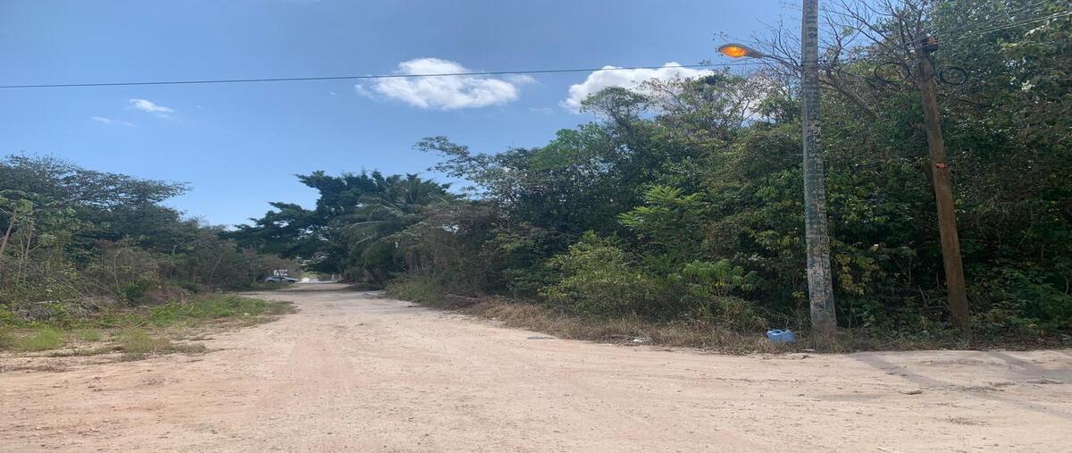Foto de terreno habitacional en venta en eucalipto , álamos i, benito juárez, quintana roo, 29714994 No. 04