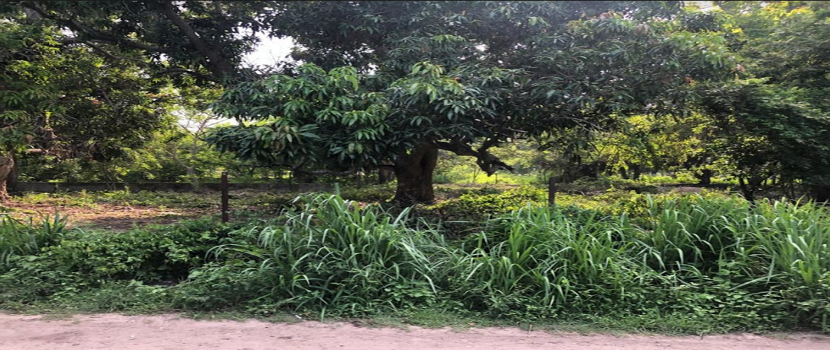 Foto de terreno habitacional en venta en eucalipto , aquiles serdán (el barranco), altamira, tamaulipas, 0 No. 03