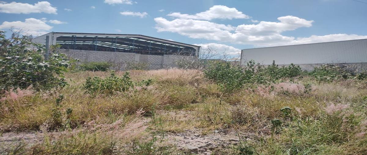 Foto de terreno comercial en eucalipto , el carmen, el marqués, querétaro, 0 foto 05 Foto de terreno comercial en renta en eucalipto , el carmen, el marqués, querétaro, 0 No. 05