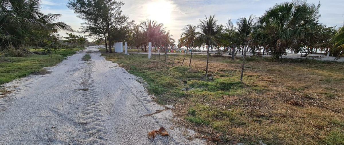 Foto de terreno habitacional en venta en  , evergreén, carmen, campeche, 23893552 No. 04