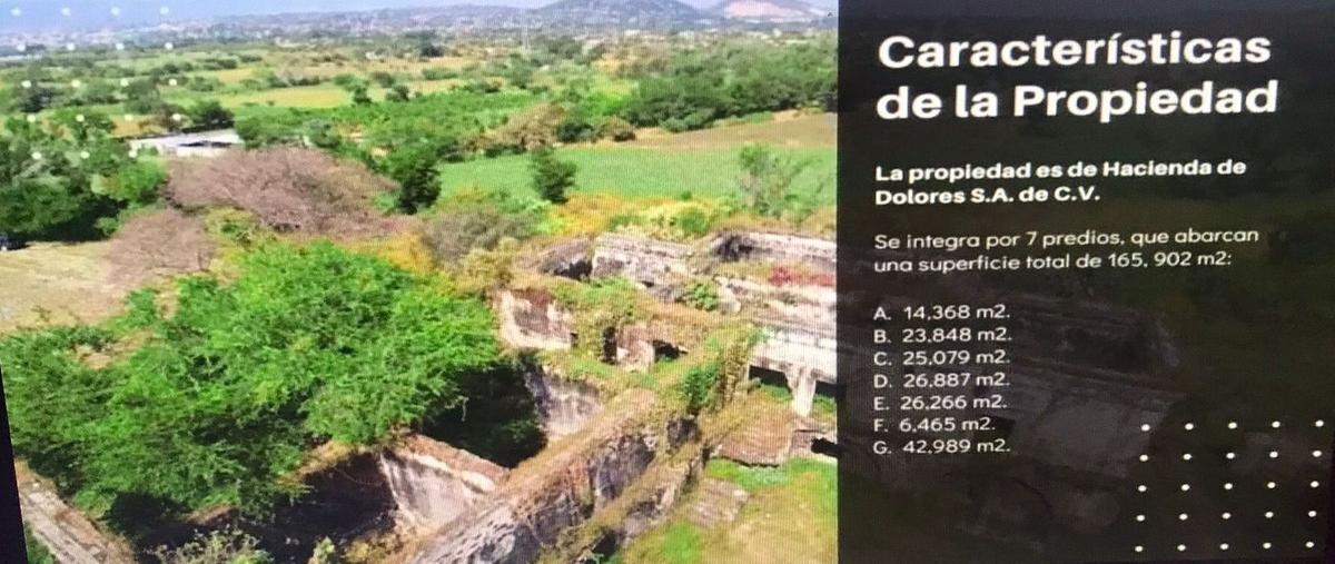 Foto de terreno habitacional en venta en ex hacienda de dolores , campo nuevo, emiliano zapata, morelos, 25720400 No. 05