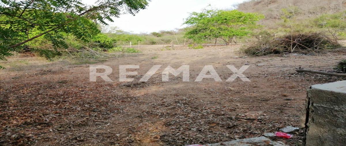 Foto de terreno comercial en ex hacienda de "juluapan" , manzanillo, manzanillo, colima, 0 foto 05 Foto de terreno comercial en venta en ex hacienda de "juluapan" , manzanillo, manzanillo, colima, 0 No. 05
