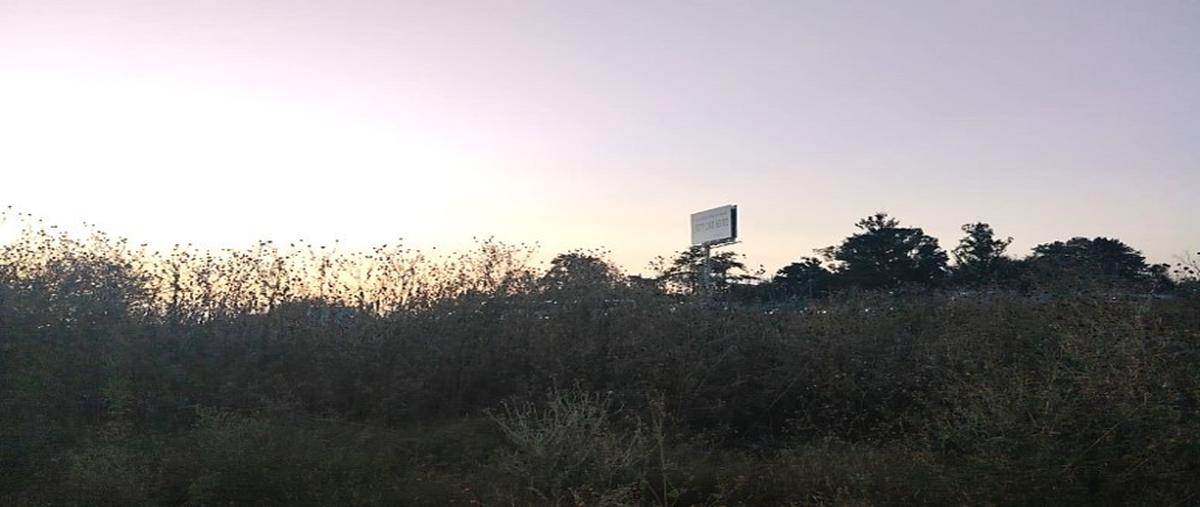 Foto de terreno industrial en venta en ex hacienda de márquez , irapuato, irapuato, guanajuato, 0 No. 05