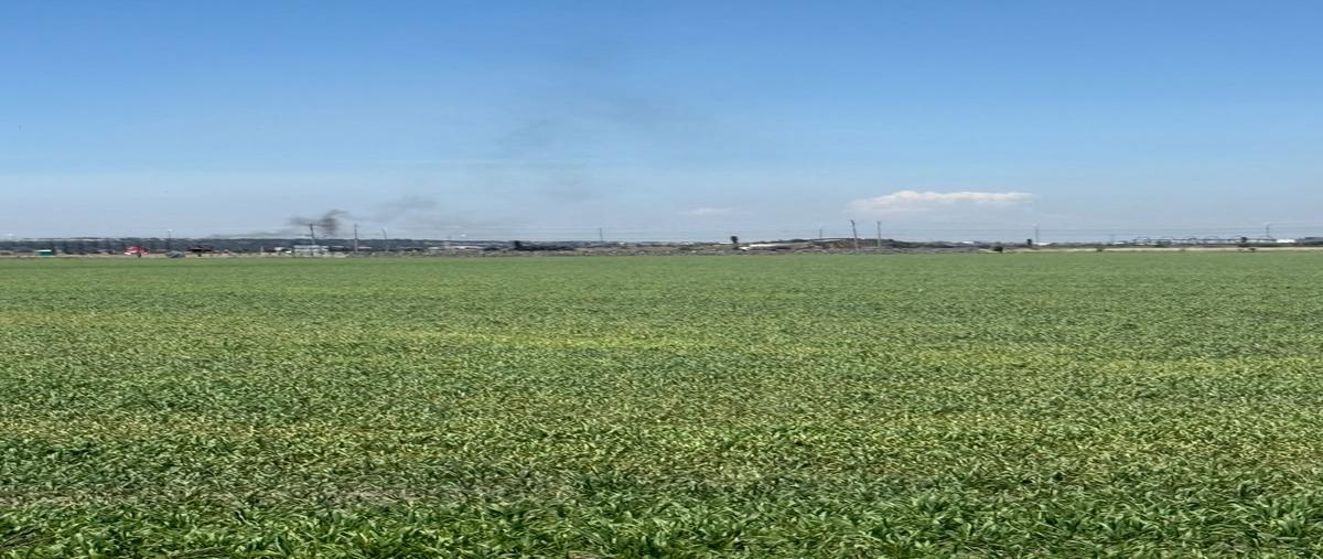 Foto de terreno industrial en venta en ex hacienda de san javier , zapotlán de juárez centro, zapotlán de juárez, hidalgo, 0 No. 04