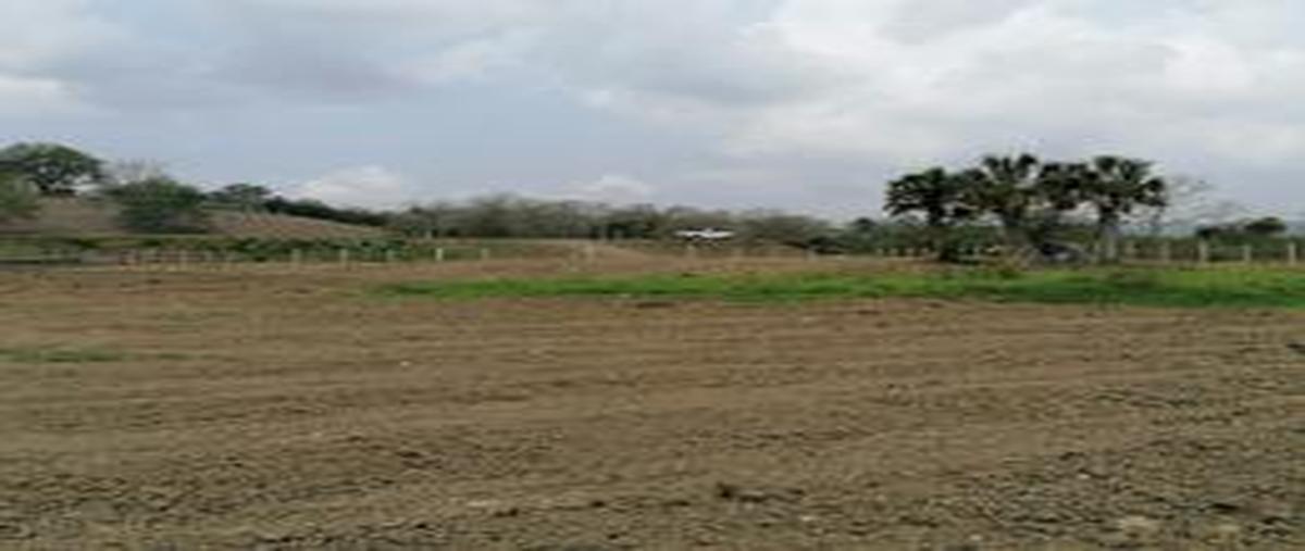 Foto de terreno comercial en ex hacienda tametate , xiloxúchitl, tantoyuca, veracruz de ignacio de la llave, 20440065 foto 02 Foto de terreno comercial en renta en ex hacienda tametate , xiloxúchitl, tantoyuca, veracruz de ignacio de la llave, 20440065 No. 02