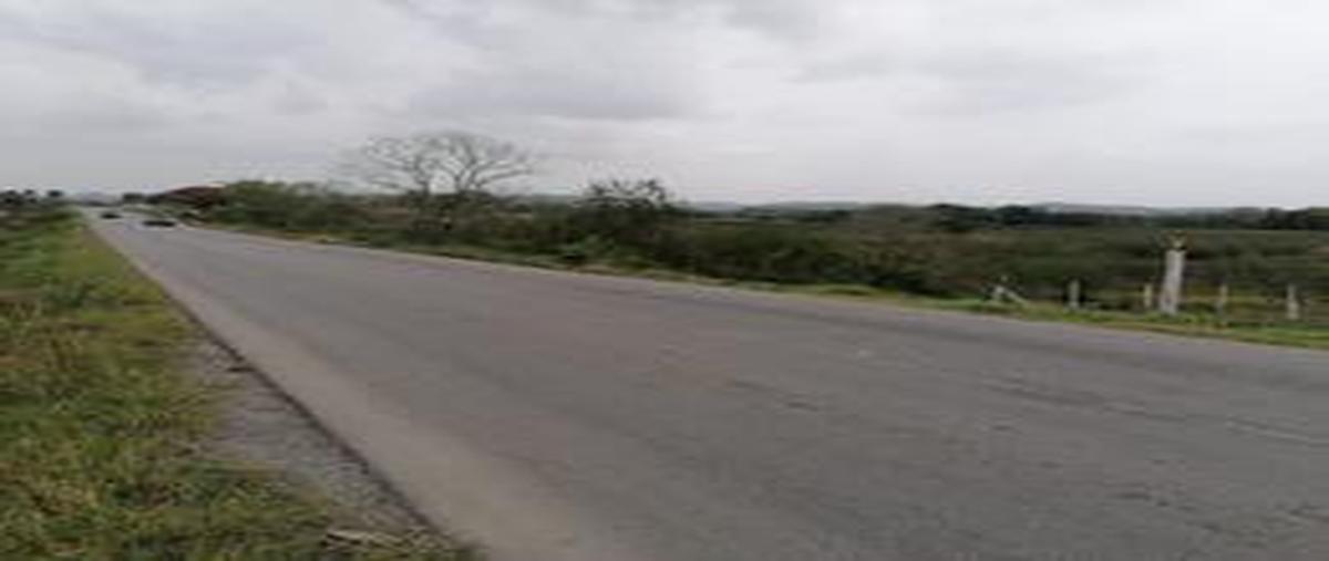 Foto de terreno comercial en ex hacienda tametate , xiloxúchitl, tantoyuca, veracruz de ignacio de la llave, 20440065 foto 04 Foto de terreno comercial en renta en ex hacienda tametate , xiloxúchitl, tantoyuca, veracruz de ignacio de la llave, 20440065 No. 04