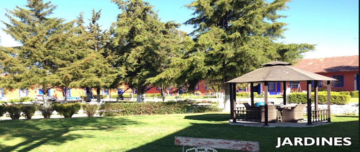 Foto de rancho en venta en ex-hacienda apulco , apulco, metepec, hidalgo, 0 No. 02