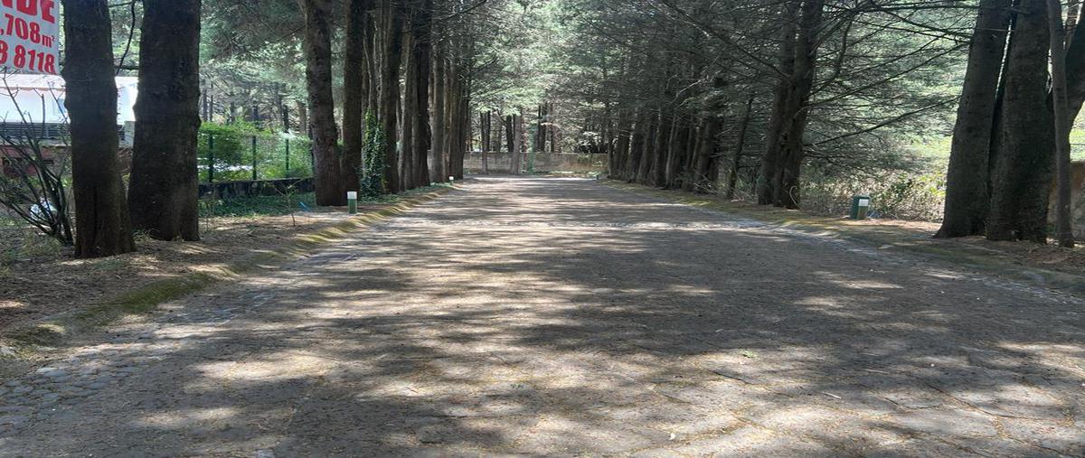 Foto de terreno habitacional en venta en  , ex-hacienda jajalpa, ocoyoacac, méxico, 0 No. 03