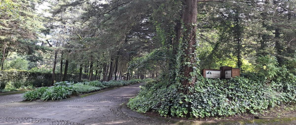 Foto de terreno habitacional en venta en  , ex-hacienda jajalpa, ocoyoacac, méxico, 0 No. 03