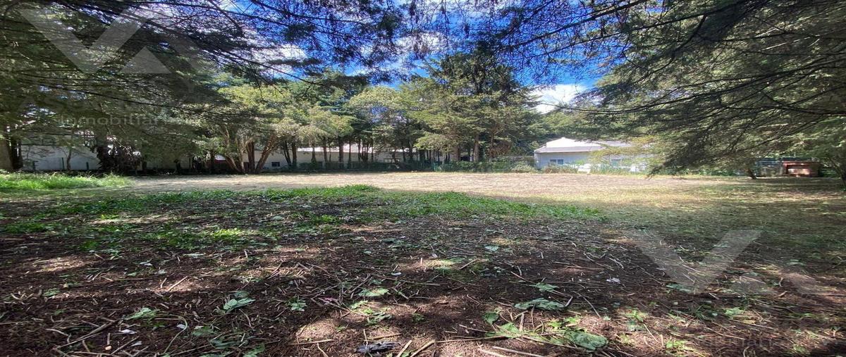 Foto de terreno habitacional en venta en  , ex-hacienda jajalpa, ocoyoacac, méxico, 0 No. 03