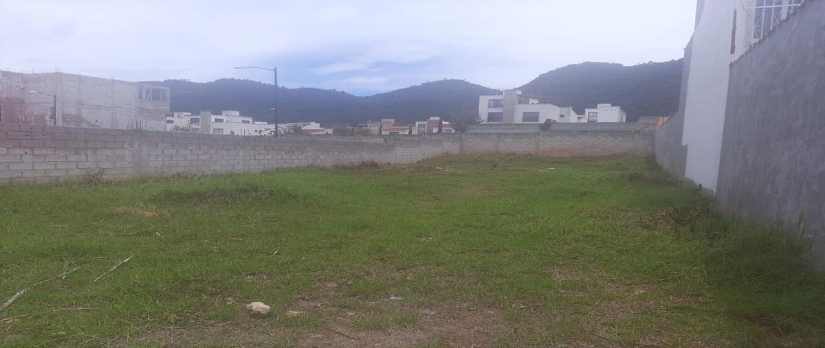 Foto de terreno habitacional en venta en  , explanada del carmen, san cristóbal de las casas, chiapas, 25057736 No. 04