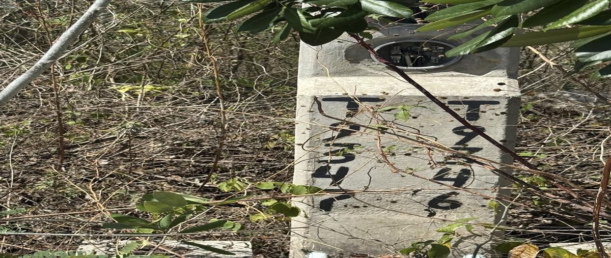 Foto de terreno habitacional en f188 , conkal, conkal, yucatán, 29698002 foto 01 Foto de terreno habitacional en venta en f188 , conkal, conkal, yucatán, 29698002 No. 01