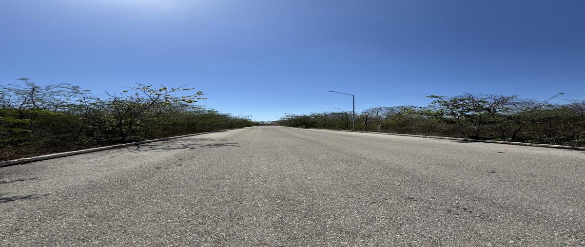 Foto de terreno habitacional en f188 , conkal, conkal, yucatán, 29698002 foto 03 Foto de terreno habitacional en venta en f188 , conkal, conkal, yucatán, 29698002 No. 03