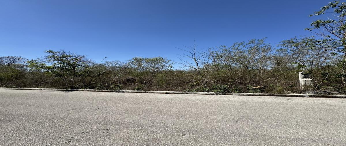 Foto de terreno habitacional en f188 , conkal, conkal, yucatán, 29698002 foto 04 Foto de terreno habitacional en venta en f188 , conkal, conkal, yucatán, 29698002 No. 04