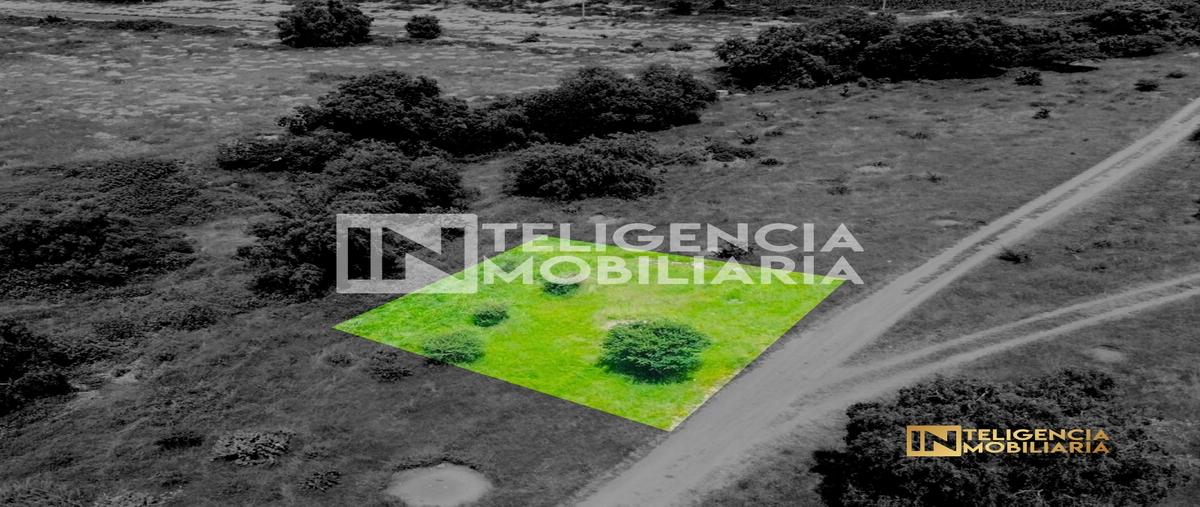 Foto de terreno habitacional en venta en f49p+p6h la nopaleraestado de méxico , san luis huexotla, texcoco, méxico, 0 No. 05
