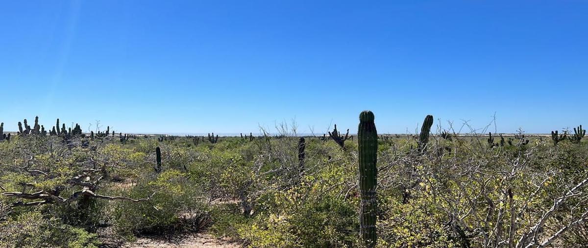 Foto de terreno habitacional en venta en facción de la manzana ubicado en el camino numero 3 entre el camino del abulon y camino de la langostade la sección de el agua blancaparte 3 , agua blanca, la paz, baja california sur, 0 No. 03