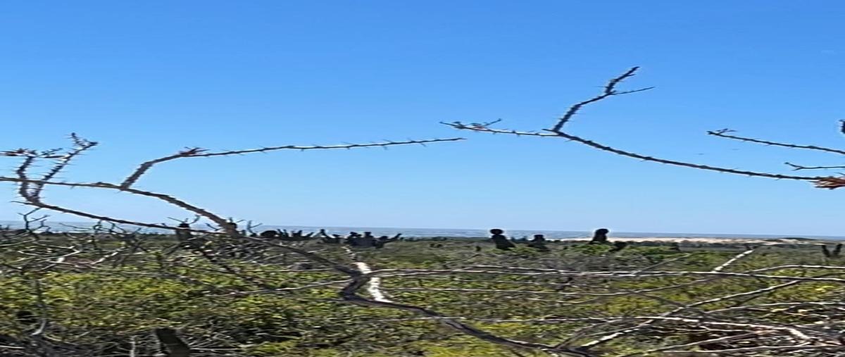 Foto de terreno habitacional en venta en facción de la manzana ubicado en el camino numero 3 entre el camino del abulon y camino de la langostade la sección de el agua blancaparte 3 , agua blanca, la paz, baja california sur, 0 No. 04