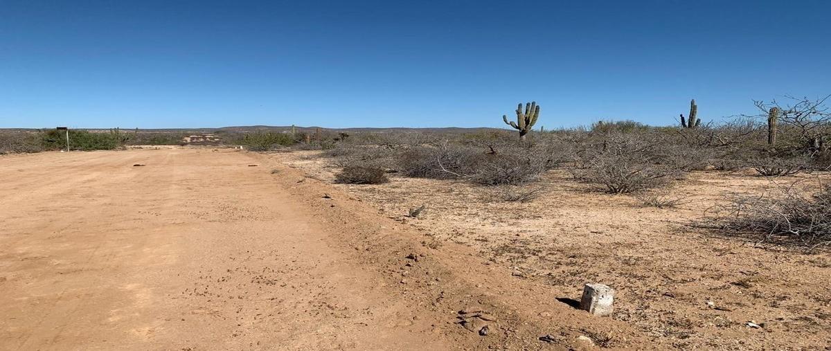 Foto de terreno habitacional en venta en facción de la manzana ubicado en el camino numero 3 entre el camino del abulon y camino de la langostade la sección de el agua blancaparte 3 , agua blanca, la paz, baja california sur, 0 No. 05