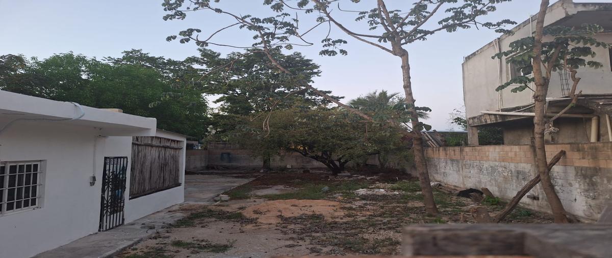 Foto de terreno comercial en renta en faisan , tumben kaa, tulum, quintana roo, 29699921 No. 04