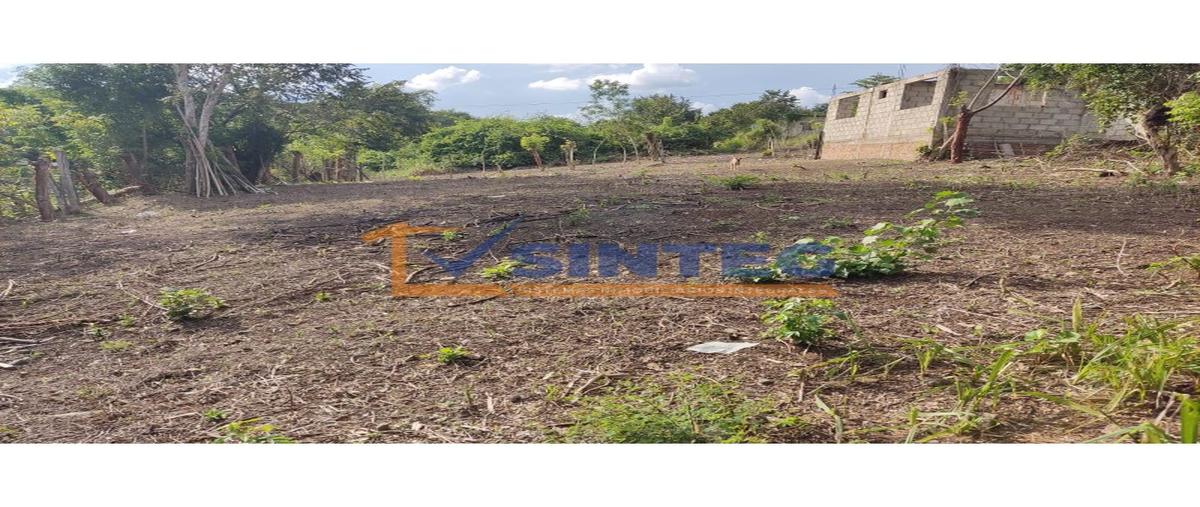 Foto de terreno habitacional en venta en  , faja de oro, coatzintla, veracruz de ignacio de la llave, 0 No. 05