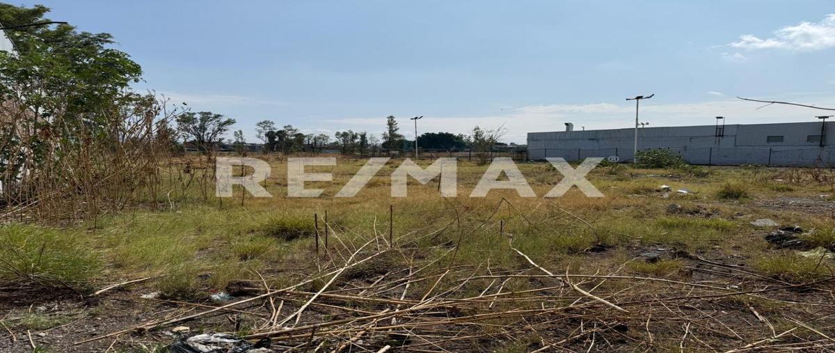 Foto de terreno comercial en renta en faja de oro , el perul, salamanca, guanajuato, 0 No. 04