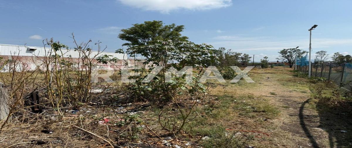 Foto de terreno comercial en renta en faja de oro , el perul, salamanca, guanajuato, 0 No. 05