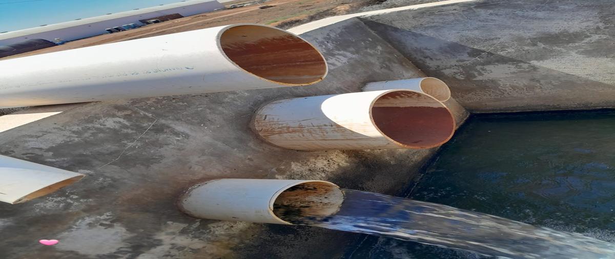 Foto de rancho en venta en familia canelo , san quintín, san quintín, baja california, 30295265 No. 04