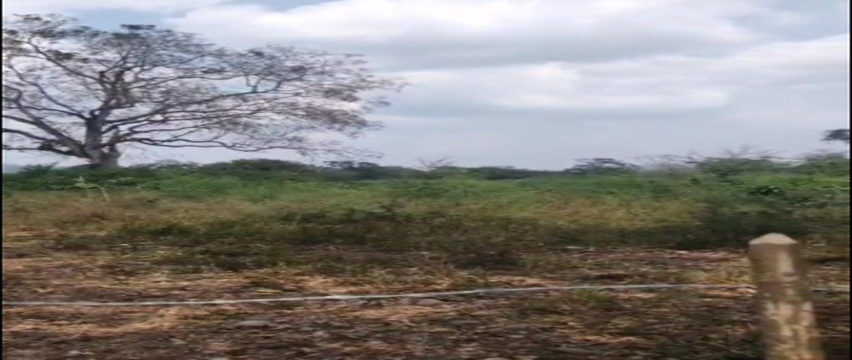 Foto de rancho en fcm4+hmc las luisianaspuebla , linderos, venustiano carranza, puebla, 29988037 foto 02 Foto de rancho en venta en fcm4+hmc las luisianaspuebla , linderos, venustiano carranza, puebla, 29988037 No. 02